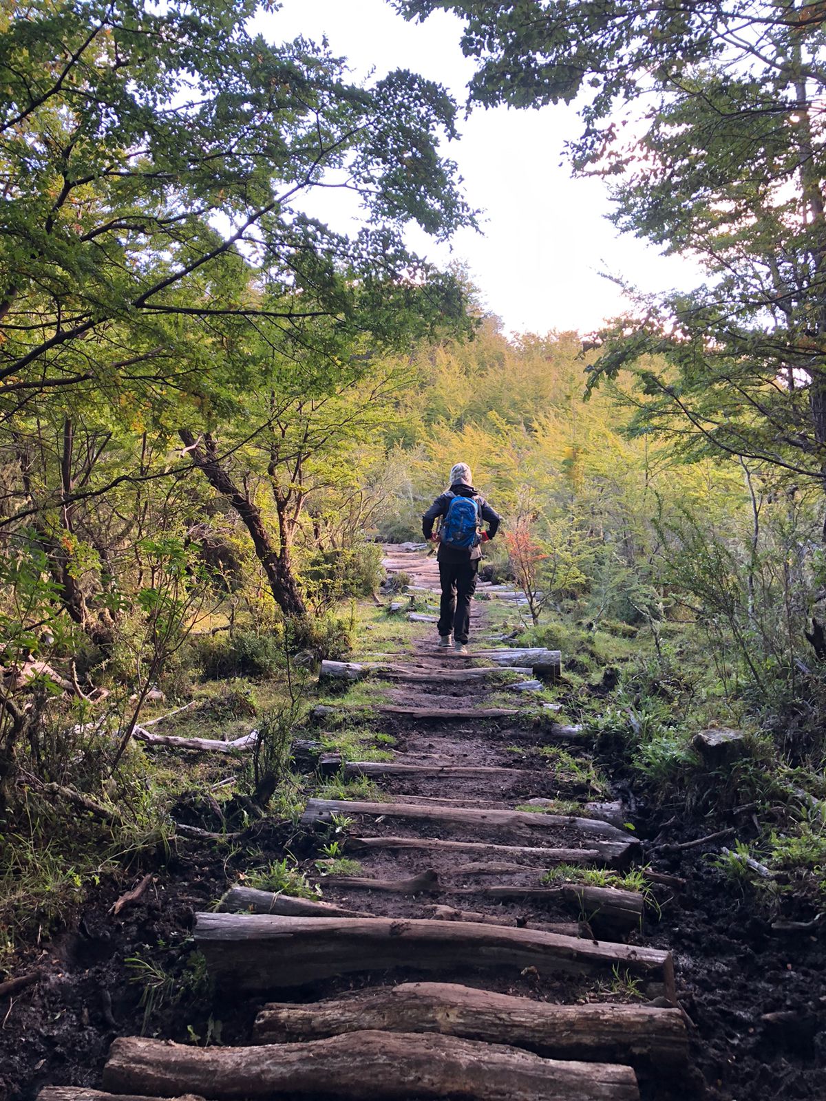 Inicio Trekking Estero Parada